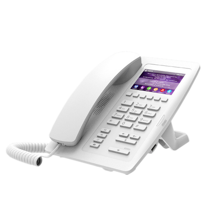 Fanvil H5 White